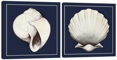 Coastal Shell Diptych with Border Navy Canvas Art Print - Sea Shell Art