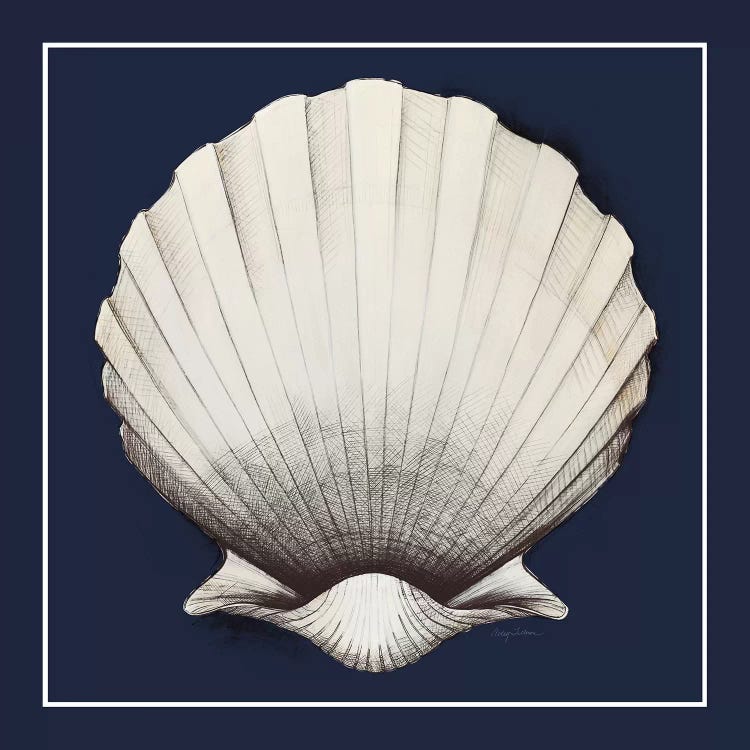 Coastal Shell II with Border Navy by Avery Tillmon wall art