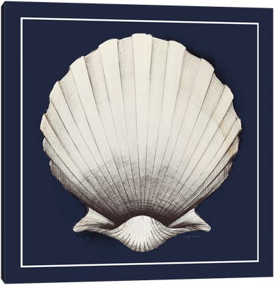 Coastal Shell II with Border Navy Canvas Art Print - Sea Shell Art