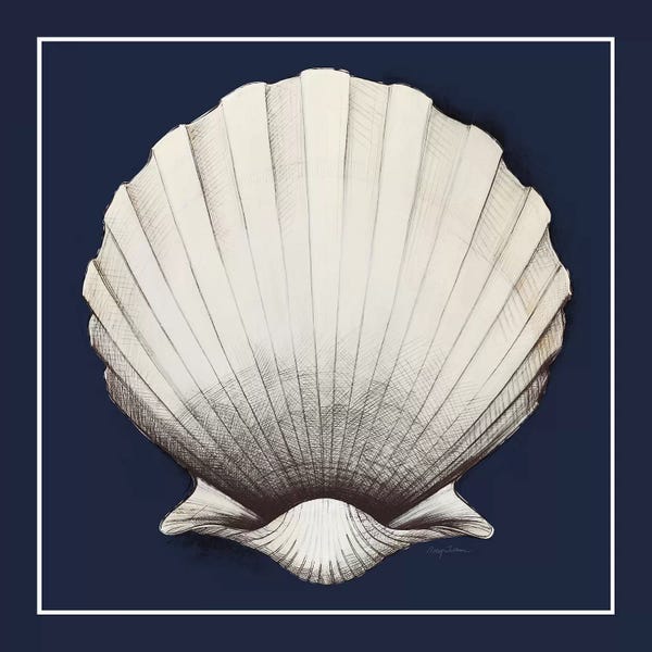Avery Tillmon: Coastal Shell II with Border Navy by Avery Tillmon