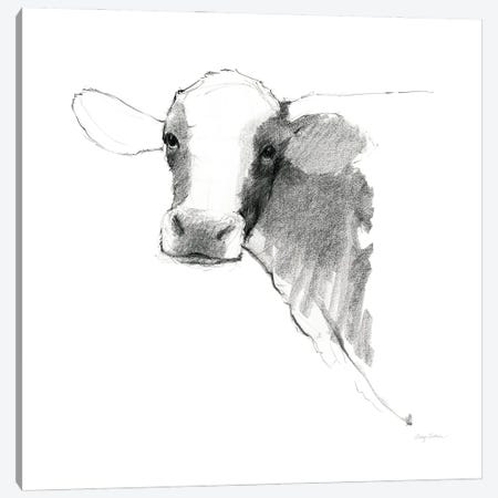 Cow II Dark Square Canvas Print #ATI33} by Avery Tillmon Canvas Print