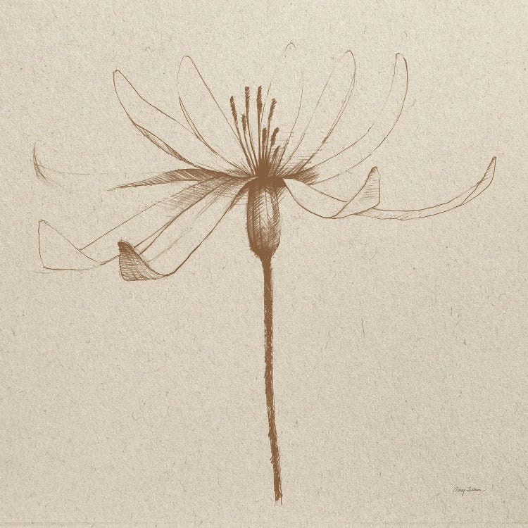 Modern Vintage Floral III by Avery Tillmon wall art