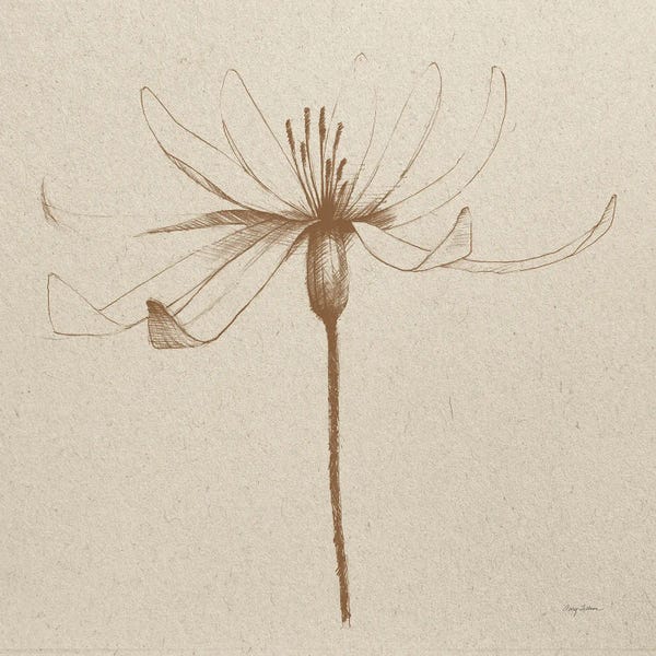 Avery Tillmon: Modern Vintage Floral III by Avery Tillmon