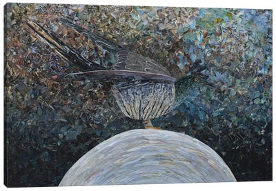 Cuckoo II Canvas Art Print - Albin Talik