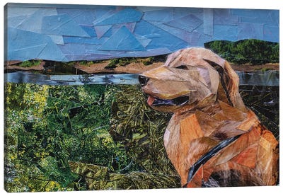 Dog Canvas Art Print - Albin Talik