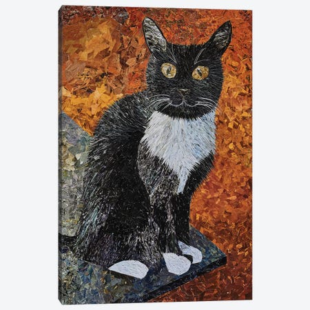Cat Canvas Print #ATK7} by Albin Talik Canvas Art