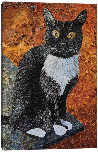 Cat Canvas Art Print - Albin Talik