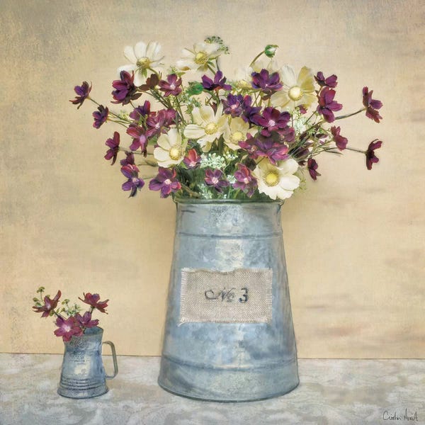 Daisies: Plum Daisies by Cristin Atria