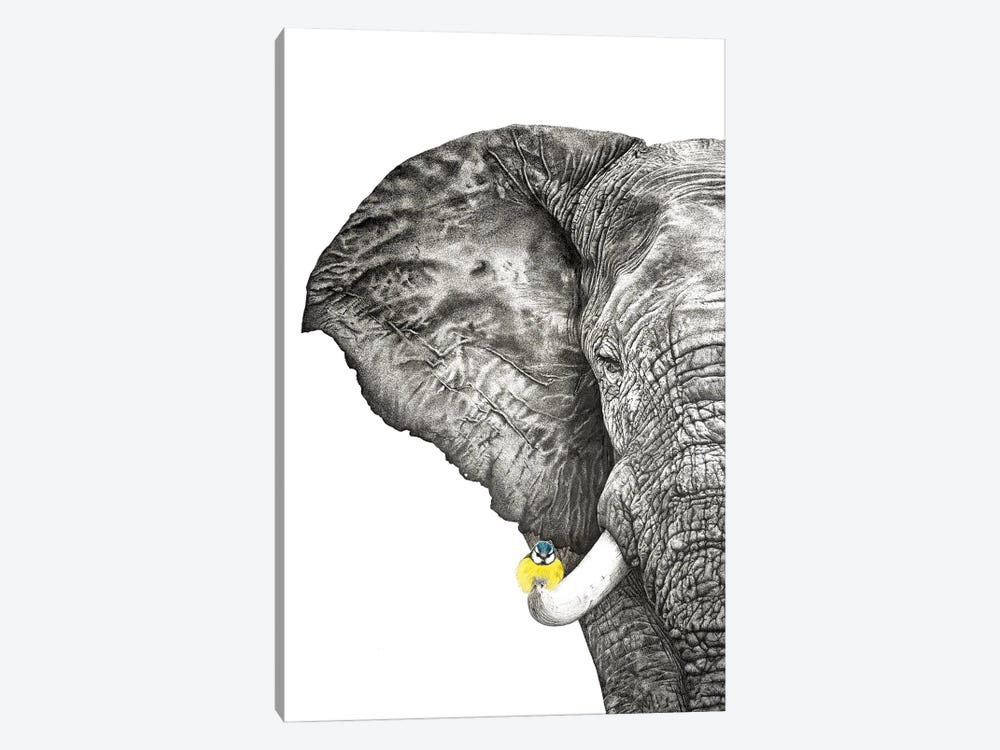 Elephant And Blue Tit by Astra Taylor-Todd 1-piece Canvas Artwork