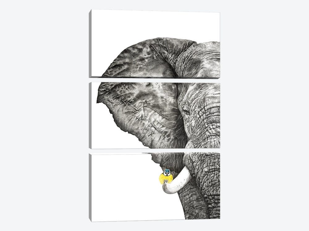 Elephant And Blue Tit by Astra Taylor-Todd 3-piece Canvas Art