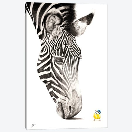Zebra And Blue Tit Canvas Print #ATT18} by Astra Taylor-Todd Canvas Wall Art