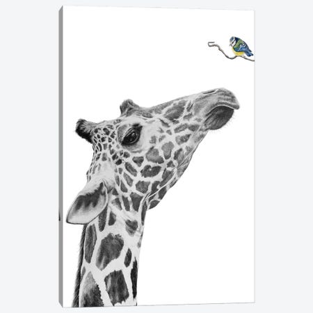 Giraffe And Blue Tit Canvas Print #ATT19} by Astra Taylor-Todd Canvas Wall Art