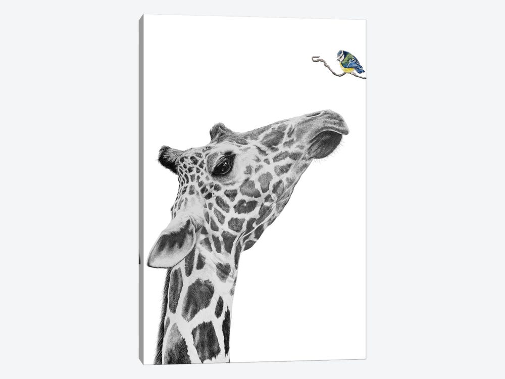 Giraffe And Blue Tit by Astra Taylor-Todd 1-piece Canvas Art