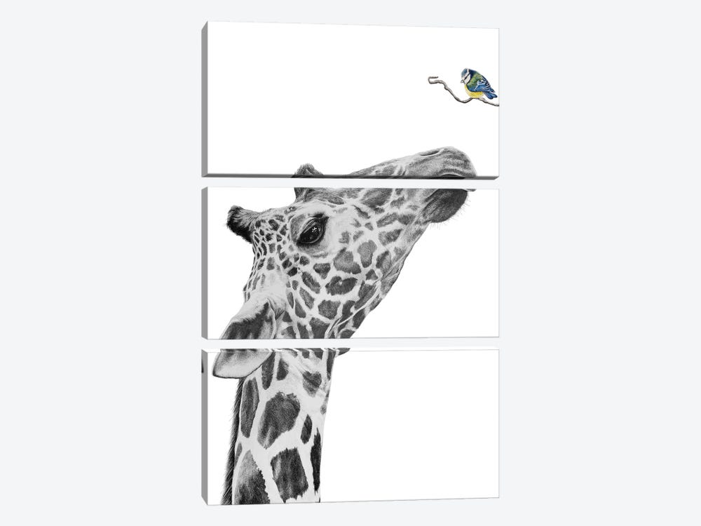 Giraffe And Blue Tit by Astra Taylor-Todd 3-piece Canvas Wall Art