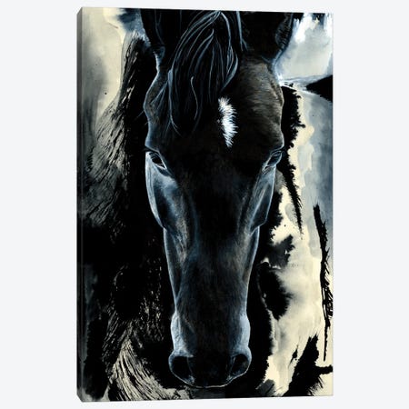 Dark Horse Canvas Print #ATT1} by Astra Taylor-Todd Canvas Print