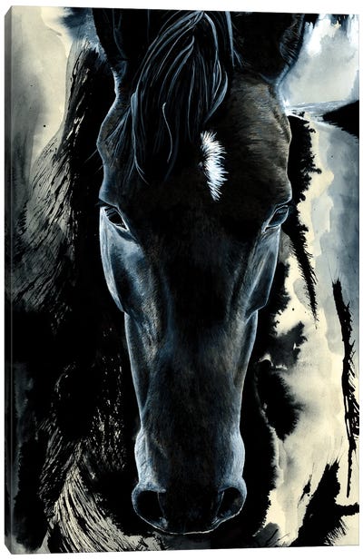 Dark Horse Canvas Art Print - Horse Art