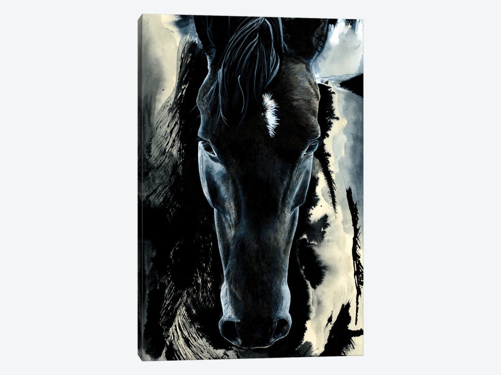 Dark Horse by Astra Taylor-Todd 1-piece Canvas Wall Art