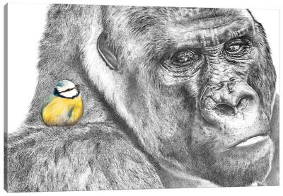 Gorilla And Blue Tit Canvas Art Print - Gorilla Art