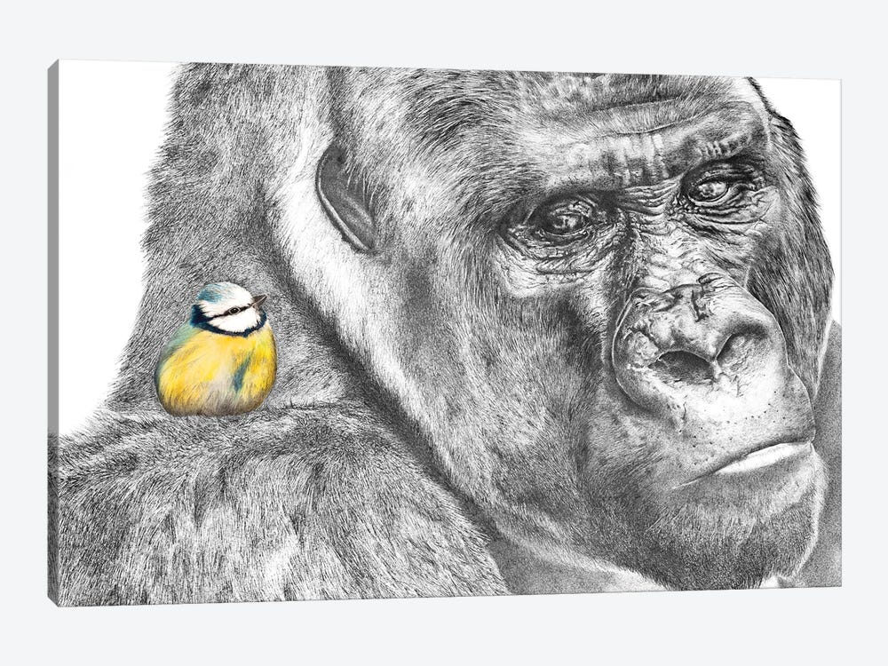 Gorilla And Blue Tit by Astra Taylor-Todd 1-piece Canvas Art