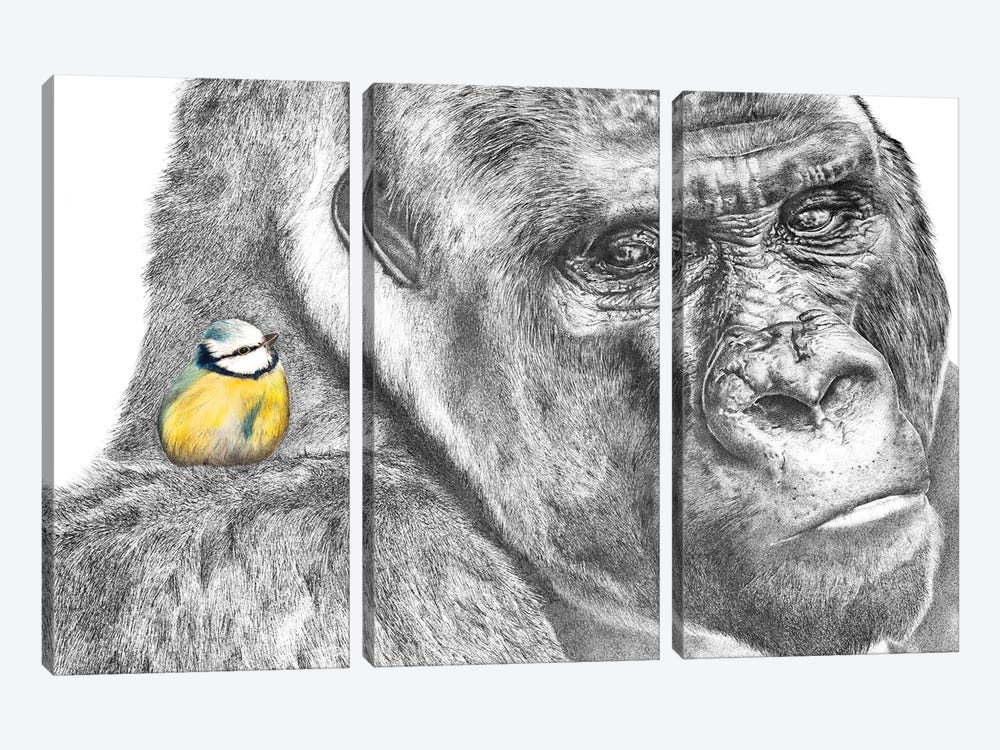 Gorilla And Blue Tit by Astra Taylor-Todd 3-piece Canvas Wall Art