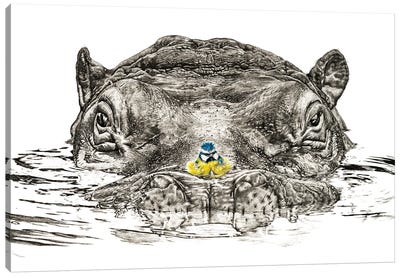 Hippo And Blue Tit Canvas Art Print - Astra Taylor-Todd