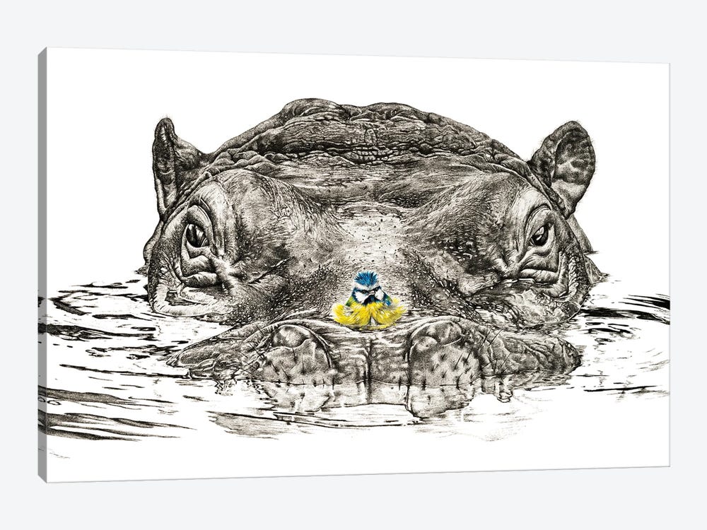 Hippo And Blue Tit by Astra Taylor-Todd 1-piece Canvas Print