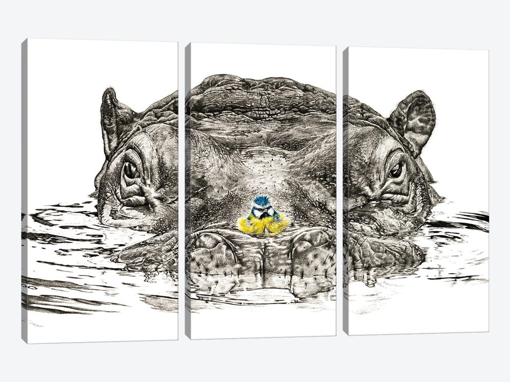 Hippo And Blue Tit by Astra Taylor-Todd 3-piece Canvas Print