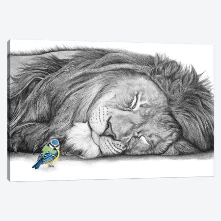 Lion And Blue Tit Canvas Print #ATT22} by Astra Taylor-Todd Art Print