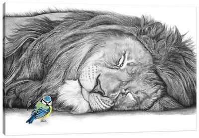 Lion And Blue Tit Canvas Art Print - Astra Taylor-Todd