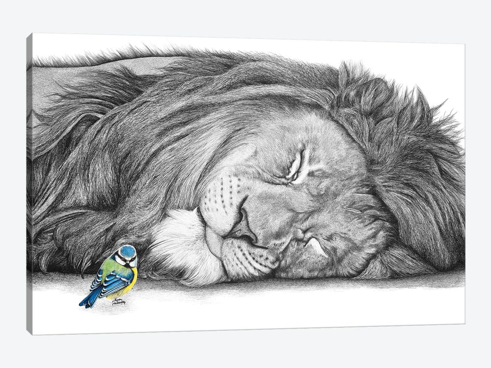 Lion And Blue Tit by Astra Taylor-Todd 1-piece Canvas Wall Art