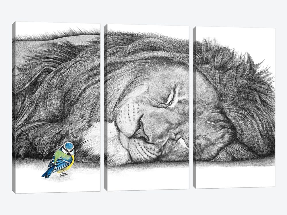 Lion And Blue Tit by Astra Taylor-Todd 3-piece Canvas Wall Art