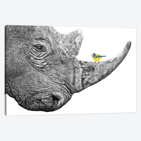 Rhino And Blue Tit Canvas Print #ATT23} by Astra Taylor-Todd Canvas Print