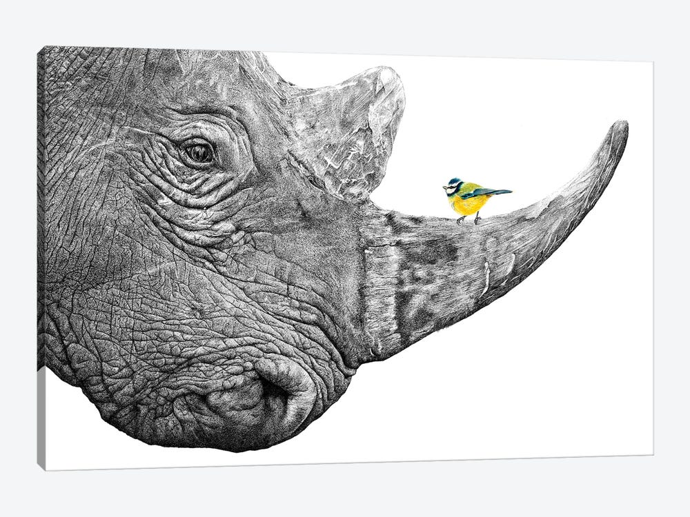 Rhino And Blue Tit by Astra Taylor-Todd 1-piece Canvas Art Print