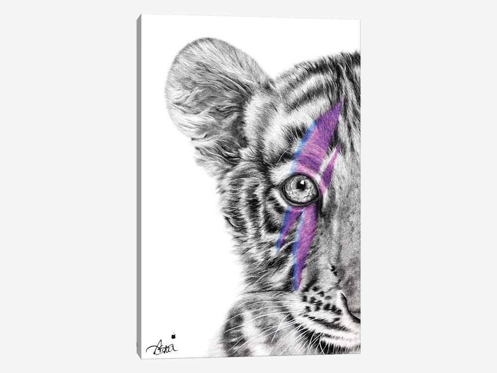 Tiggy Stardust by Astra Taylor-Todd 1-piece Canvas Wall Art