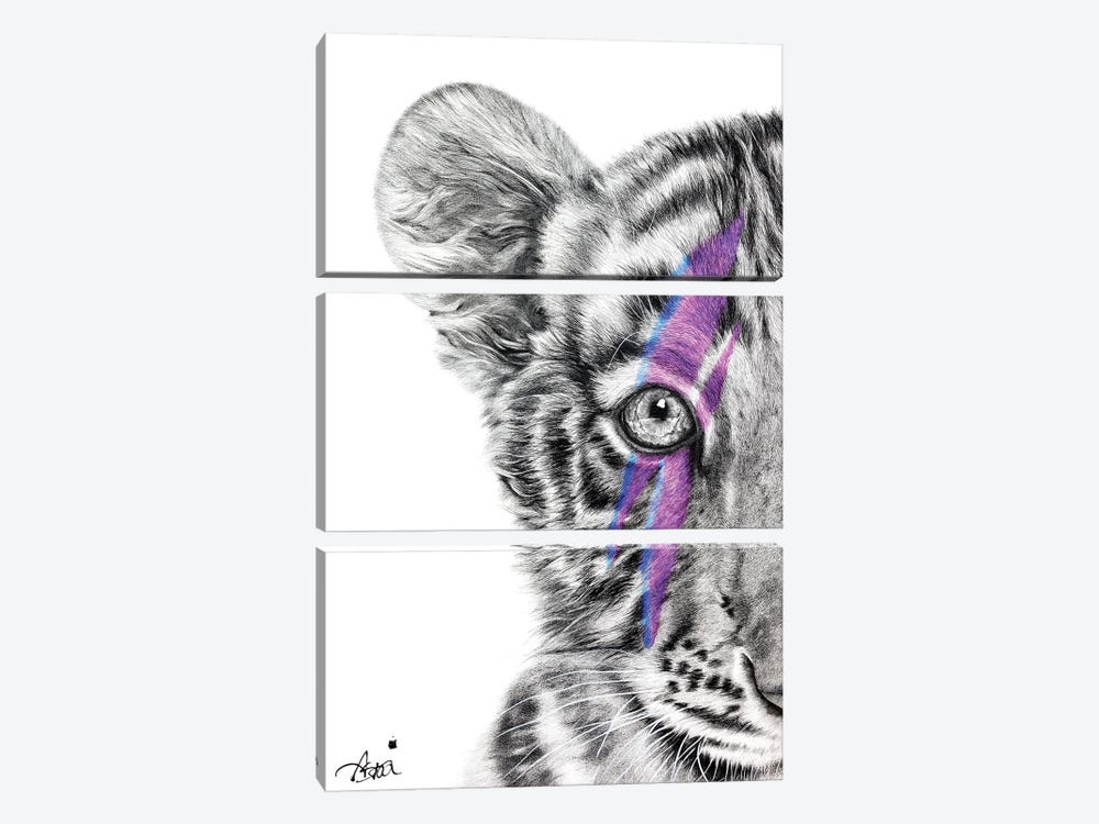 Tiggy Stardust by Astra Taylor-Todd 3-piece Canvas Artwork