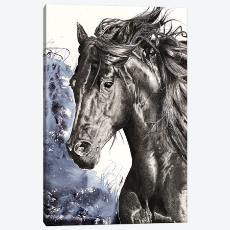 Wild Horse Canvas Print #ATT2} by Astra Taylor-Todd Canvas Print