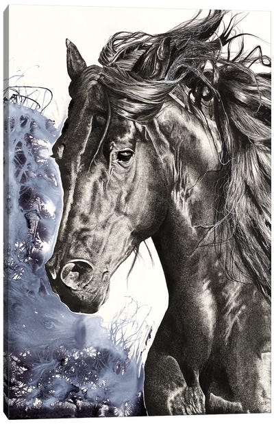 Wild Horse Canvas Art Print - Astra Taylor-Todd