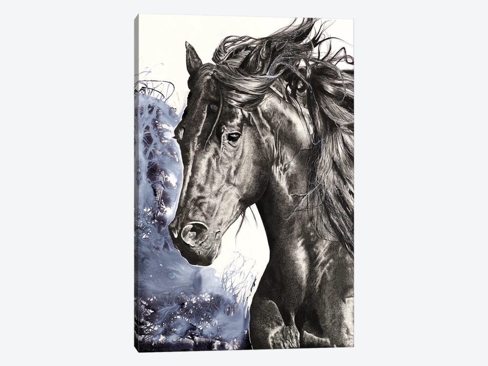 Wild Horse by Astra Taylor-Todd 1-piece Canvas Art Print