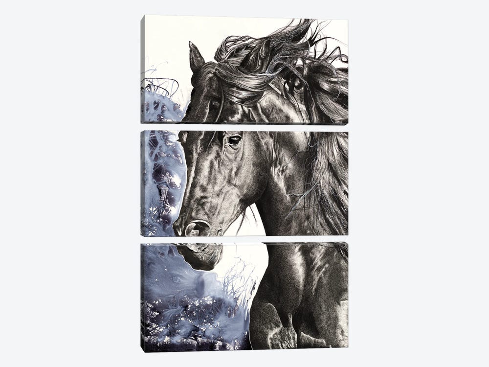 Wild Horse by Astra Taylor-Todd 3-piece Canvas Print