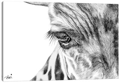 Giraffe Eye Canvas Art Print - Astra Taylor-Todd