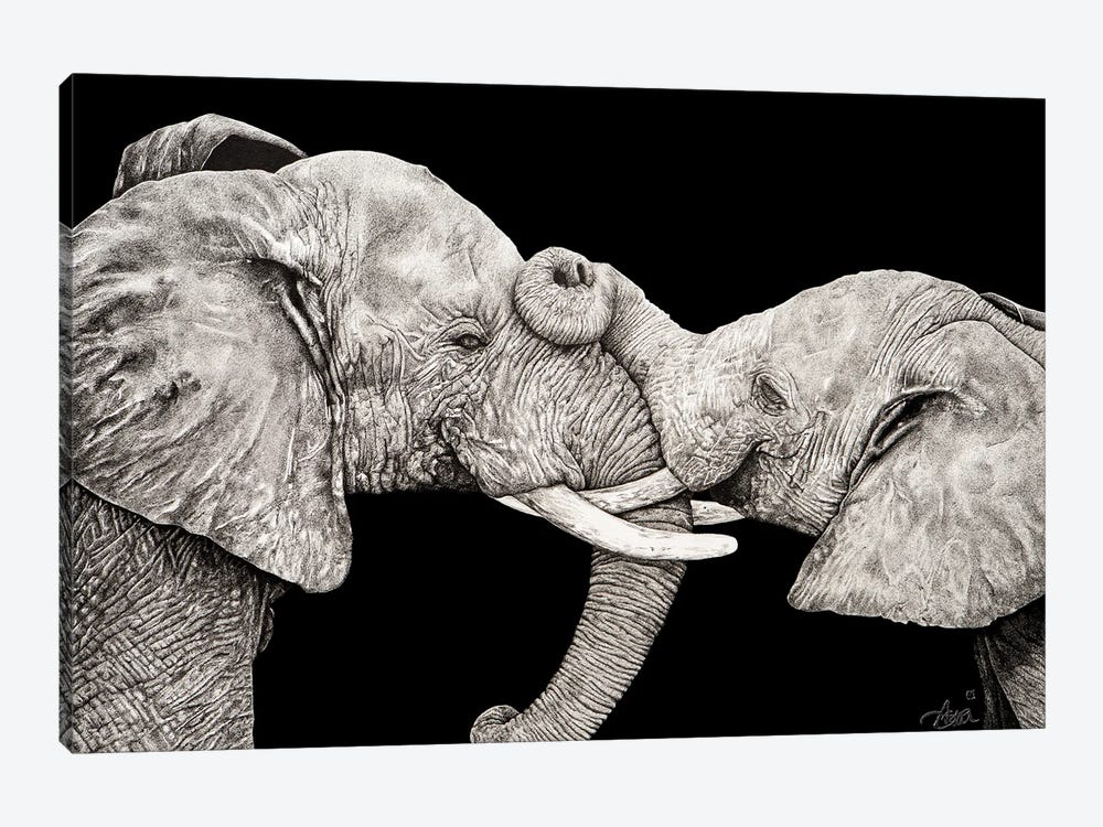 Black Elephants by Astra Taylor-Todd 1-piece Canvas Art Print