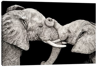 Black Elephants Canvas Art Print - Black & White Animal Art