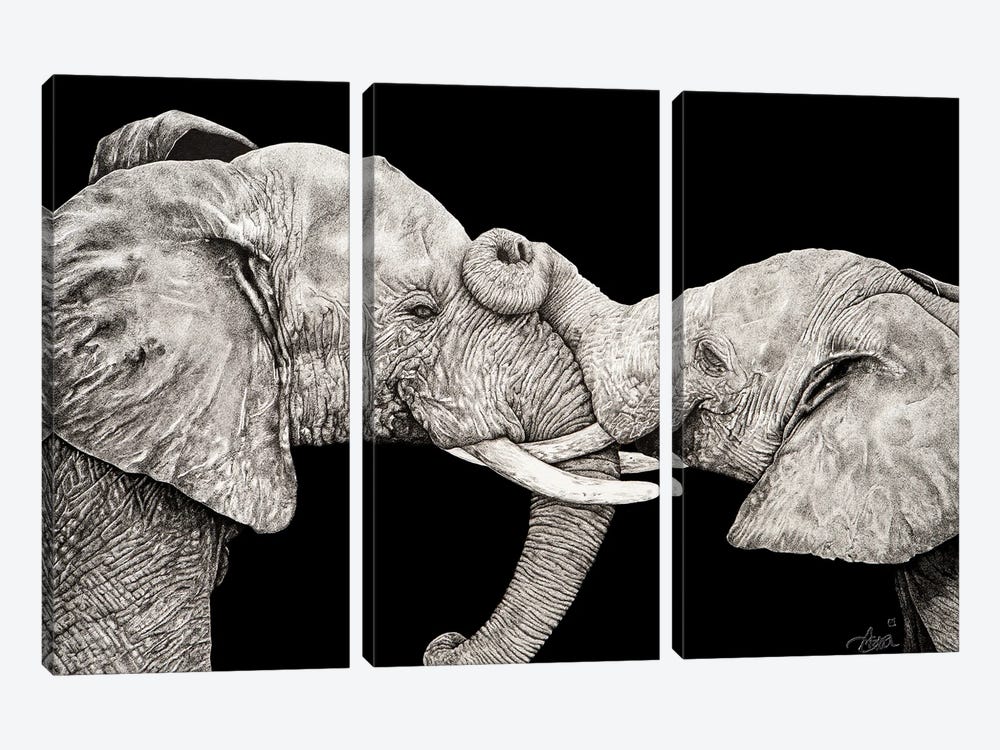 Black Elephants by Astra Taylor-Todd 3-piece Canvas Print
