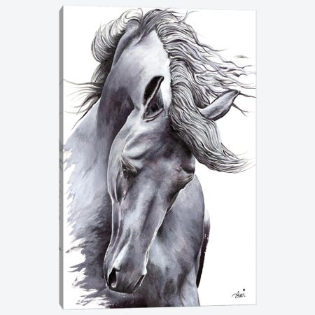 White Horse Canvas Print #ATT3} by Astra Taylor-Todd Canvas Art Print