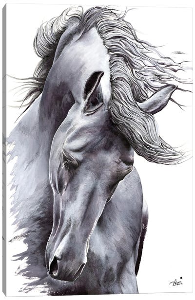 White Horse Canvas Art Print - Astra Taylor-Todd