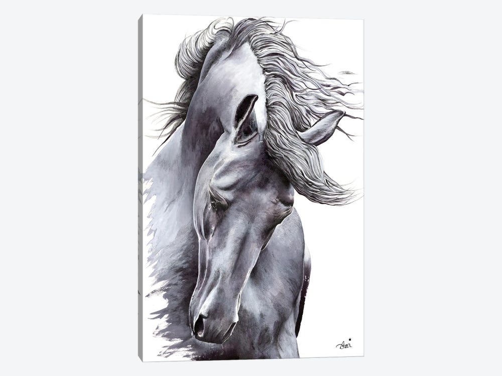 White Horse by Astra Taylor-Todd 1-piece Canvas Art