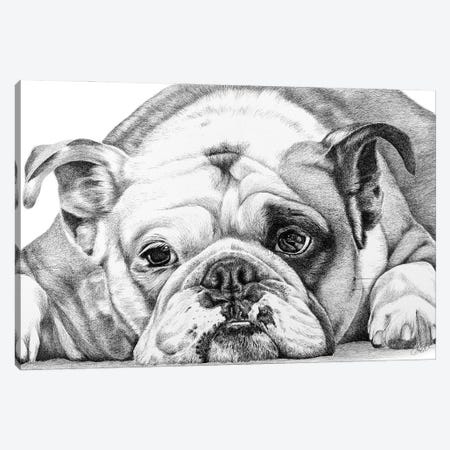 English Bulldog Canvas Print #ATT4} by Astra Taylor-Todd Canvas Wall Art