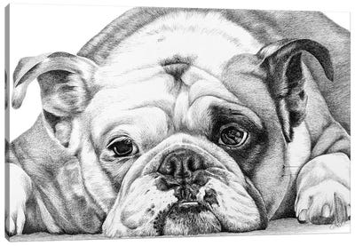 English Bulldog Canvas Art Print - Astra Taylor-Todd