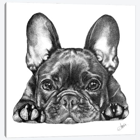 Frenchie Canvas Print #ATT5} by Astra Taylor-Todd Canvas Wall Art