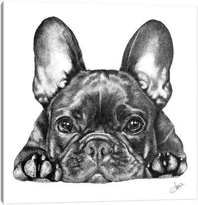Frenchie Canvas Art Print - Astra Taylor-Todd